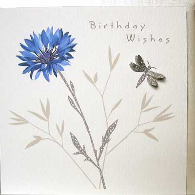 cornflower birthday jpg